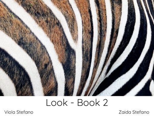 Look - Book 2 by Stefano, Zaida