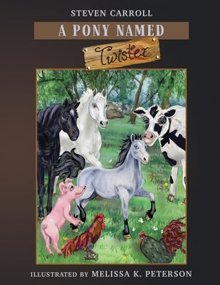 A Pony Named Twister: Big Dreams by Peterson, Melissa