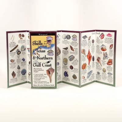 Shells and Beach Life of Texas & Northern Gulf Coast by Douglass, Jackie Leatherbury