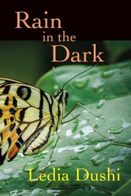 Rain in the Dark by Elsie, Robert