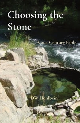 Choosing the Stone: A 21st Century Fable by Hohlbein, Dw
