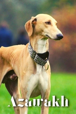 Azawakh: Dog breed overview and guide by Pustova, Nina