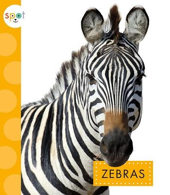 Zebras by Klukow, Mary Ellen