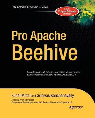 Pro Apache Beehive by Kanchanavally, Srinivas