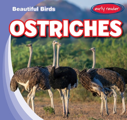 Ostriches by Jacobson, Bray