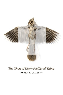 The Ghost of Every Feathered Thing by Shavin, Julie Kim