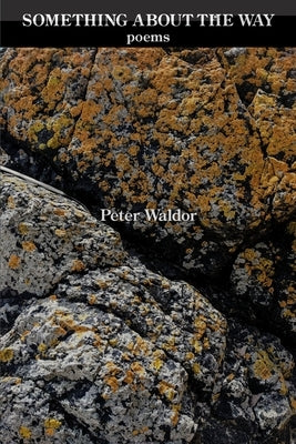 Something About the Way by Waldor, Peter