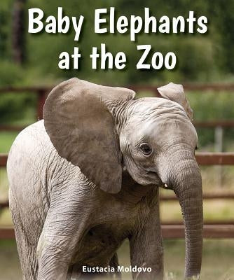 Baby Elephants at the Zoo by Moldovo, Eustacia