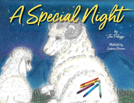 A Special Night: a Christmas coloring book by Pileggi, Joe