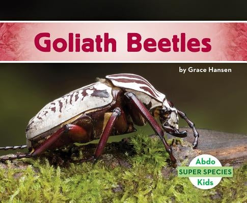 Goliath Beetles by Hansen, Grace