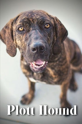 Plott Hound: Dog breed overview and guide by Pustova, Nina