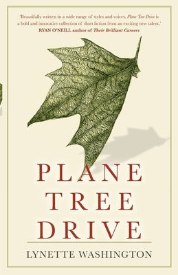 Plane Tree Drive by Washington, Lynette