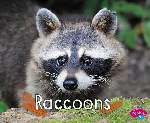 Raccoons by Lake, G. G.