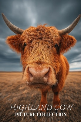 Highland Cow Photo Collection: Beautiful Full-Page Pictures of Highland Cows and Calves for All Ages (Simple Photo Books). by Ymi Collection