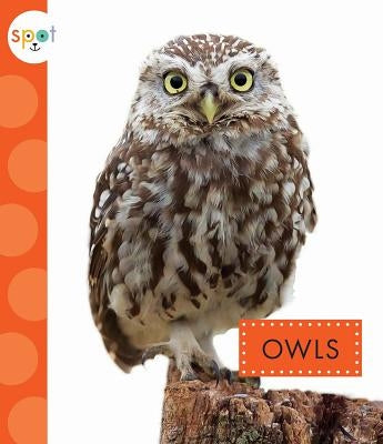 Owls by Dieker, Wendy Strobel