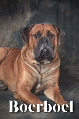 Boerboel: Dog breed overview and guide by Pustova, Nina