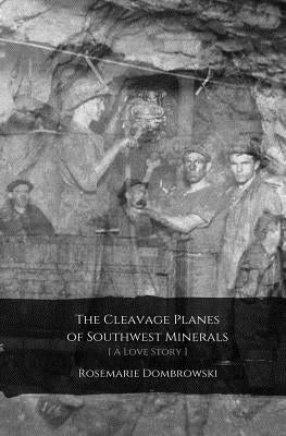 The Cleavage Planes of Southwest Minerals [A Love Story] by Dombrowski, Rosemarie