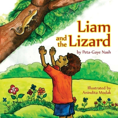 Liam and the Lizard by Nash, Peta-Gaye