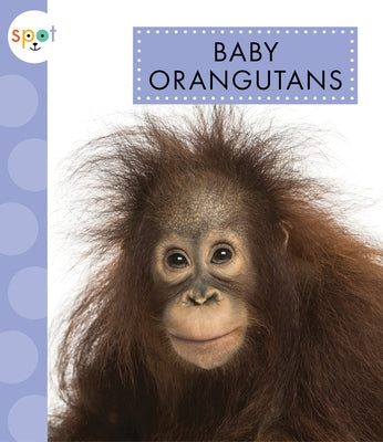 Baby Orangutans by Kelley, K. C.