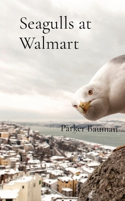 Seagulls at Walmart by Bauman, Parker