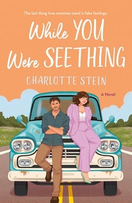 While You Were Seething by Stein, Charlotte