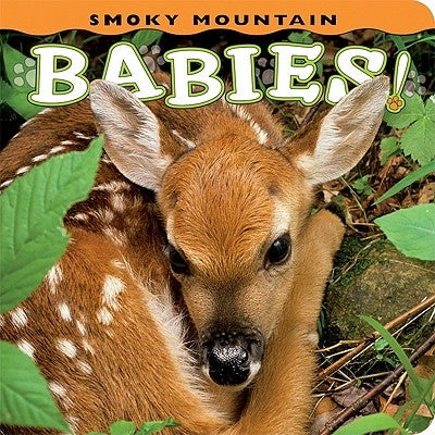 Smoky Mountain Babies! by Simpson, Ann