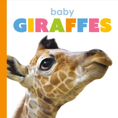 Baby Giraffes by Riggs, Kate