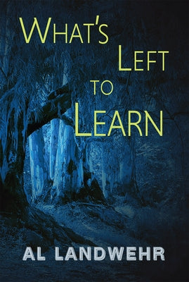 What's Left to Learn by Landwehr, Al