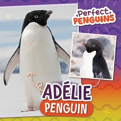 Adélie Penguin by Latham, Bethany