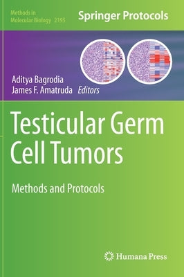 Testicular Germ Cell Tumors: Methods and Protocols by Bagrodia, Aditya