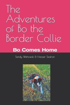 The Adventures of Bo the Border Collie: Bo Comes Home by Szafran, Harper