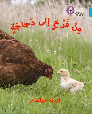 Chick to Hen: Level 7 by Graham, Elspeth