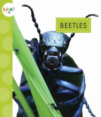 Beetles by Black, Nessa