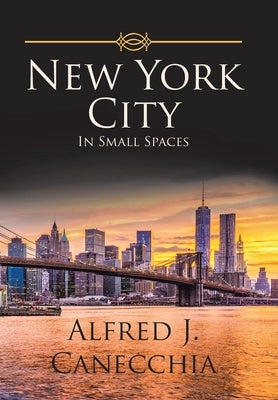 New York City: In Small Spaces by Canecchia, Alfred J.