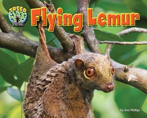 Flying Lemur by Phillips, Dee