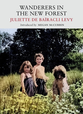 Wanderers in the New Forest by de Baïricli Levy, Juliette