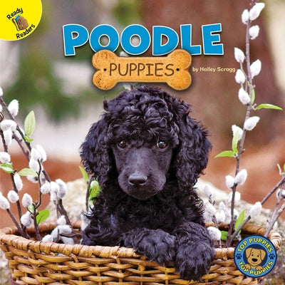 Poodle Puppies by Scragg, Hailey