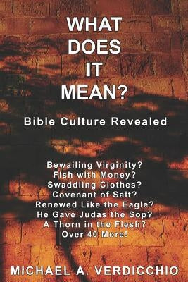 What Does It Mean?: Bible Culture Revealed by Verdicchio, Michael A.