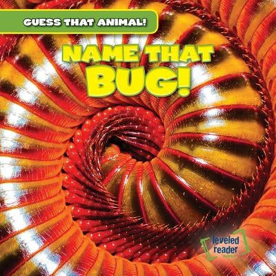 Name That Bug! by Jackson, Demi