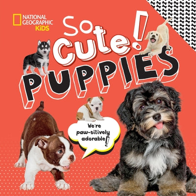 So Cute! Puppies by Boyer, Crispin