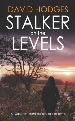STALKER ON THE LEVELS an addictive crime thriller full of twists by Hodges, David