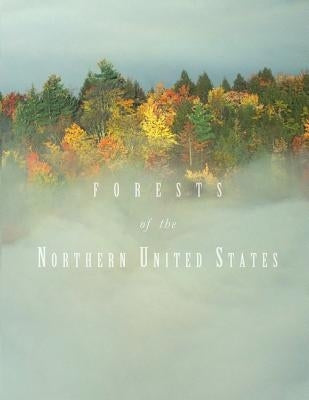 Forests of the Northern United States by Aguilar, Francisco X.