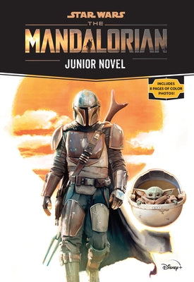 Star Wars: The Mandalorian Junior Novel by Schreiber, Joe