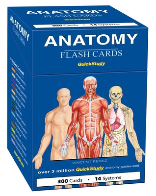 Anatomy Flash Cards: A Quickstudy Reference & Study Tool by Perez, Vincent