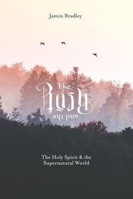 The Rush and the Rest: The Holy Spirit & the Supernatural World by Bradley, Jamin