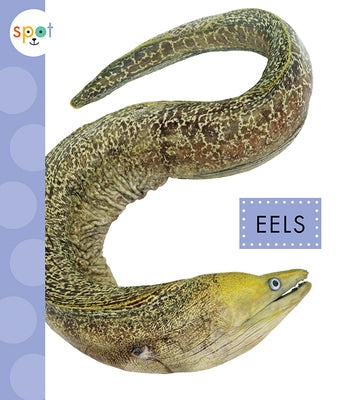Eels by Schuh, Mari C.