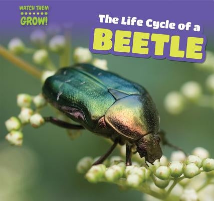 The Life Cycle of a Beetle by McKinnon, Elaine