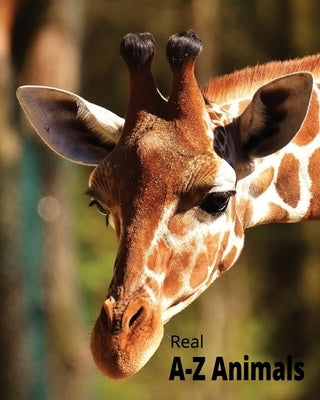 A-Z Animal Book Real Pictures With Facts by Sierra, Arturo, Jr.
