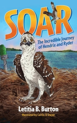 Soar: The Incredible Journey of Hendrix and Ryder by Burton, Letitia B.