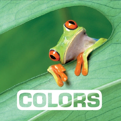 Colors by Vendittelli, Marie